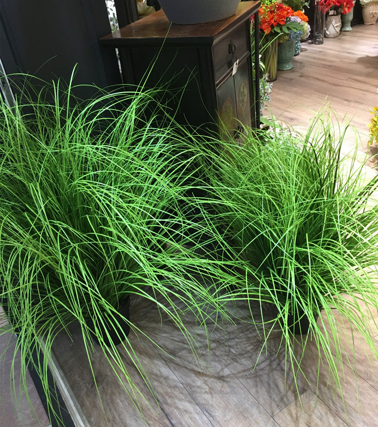 Deko-Ziergras "Onion Grass" 60 cm