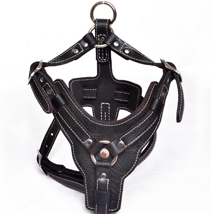 Hundegeschirr aus echtem Leder – Bild 5 | LuxeStyle