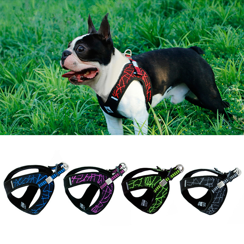Hundegeschirr V8 atmungsaktiv – Bild 2 | LuxeStyle