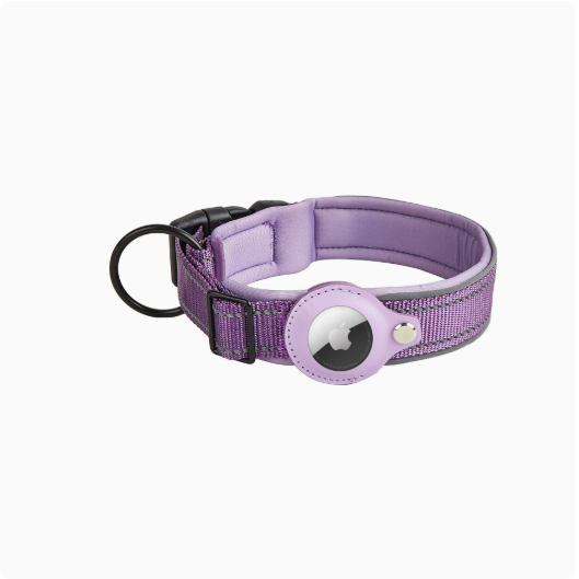 Reflektierendes Nylon-Halsband, verstellbar