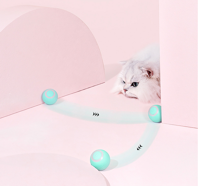 Intelligenter Rollball für Katzen