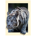 Tiger-Diamanten-Kreuzstich – Bild 3 | LuxeStyle