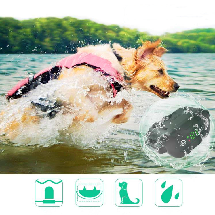 Hunde-Bellentstörer – Bild 4 | LuxeStyle