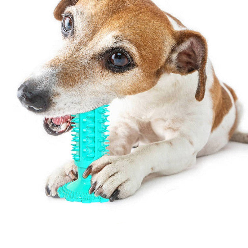 Zahnpflege-Beissspielzeug für Hunde