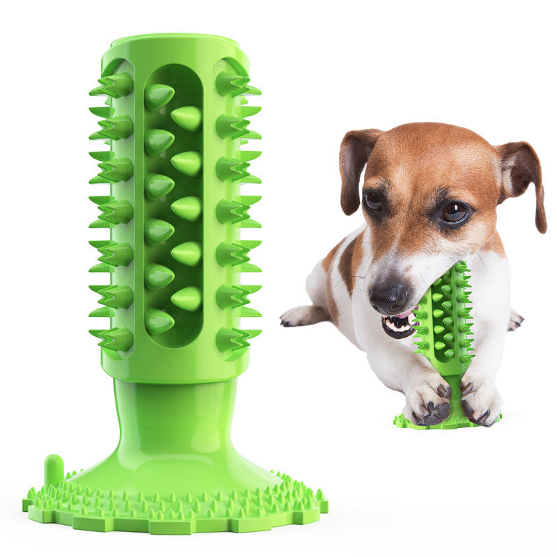 Zahnpflege-Beissspielzeug für Hunde