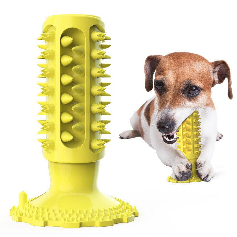 Zahnpflege-Beissspielzeug für Hunde