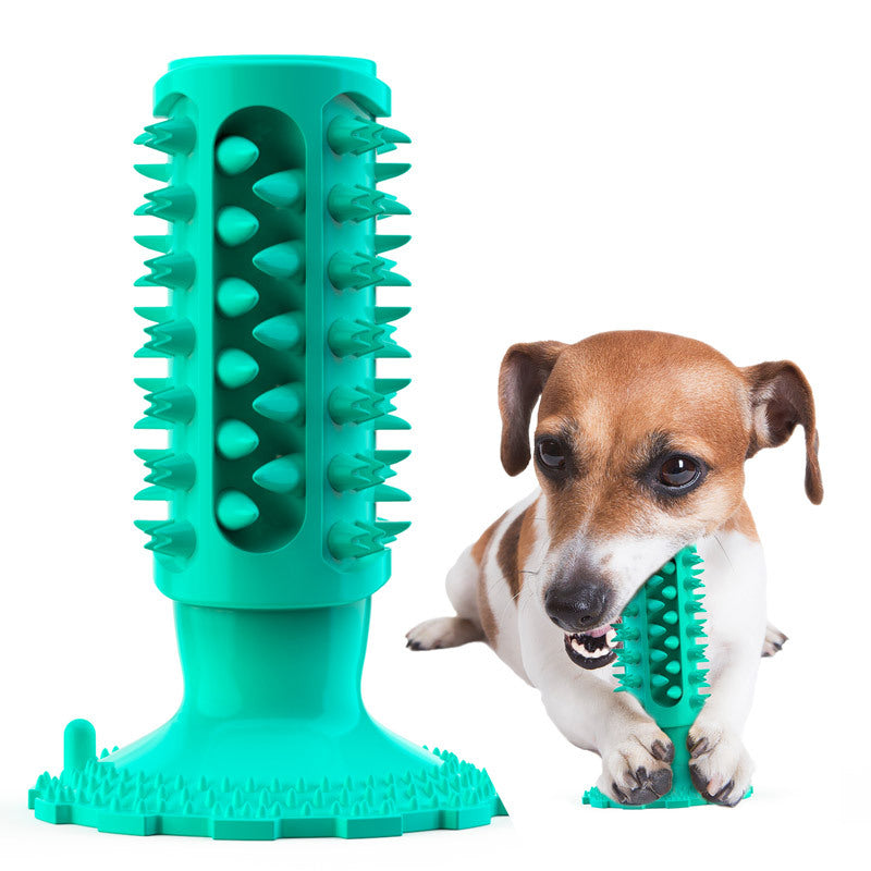 Zahnpflege-Beissspielzeug für Hunde
