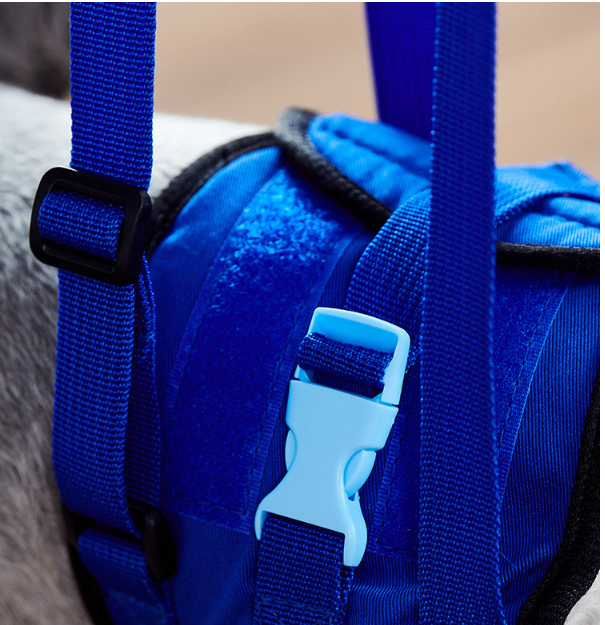 Gehhilfe für Hunde – Bild 6 | LuxeStyle
