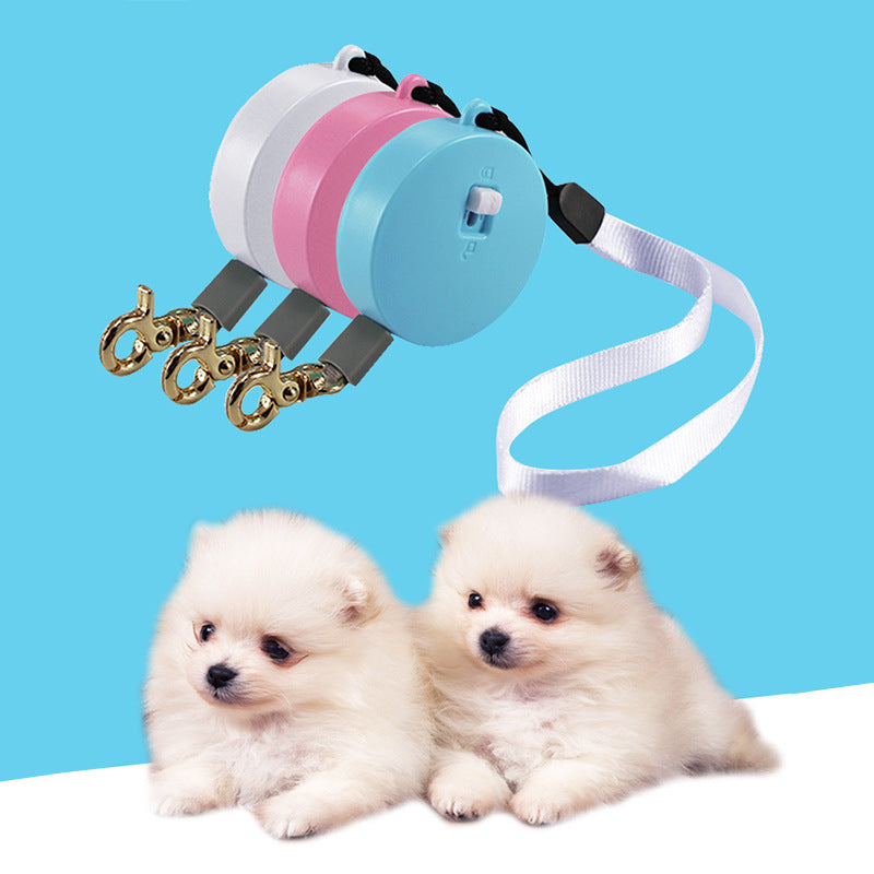 Automatisches 2m Hunde-Rollseil – Bild 6 | LuxeStyle