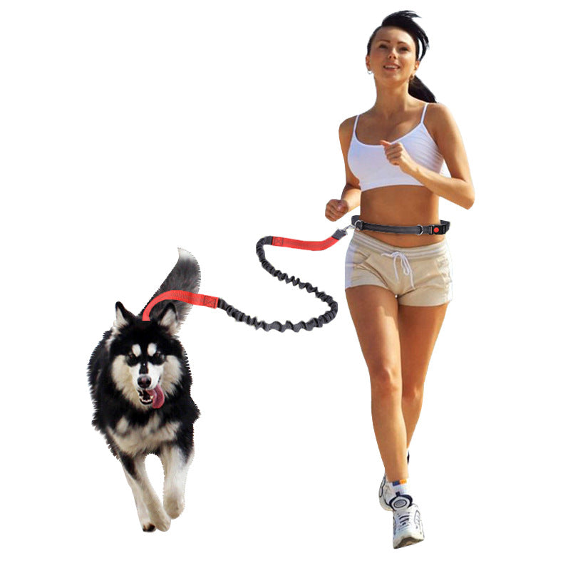Reflektierendes Hunde-Gstältli für Sport & Freizeit – Bild 4 | LuxeStyle