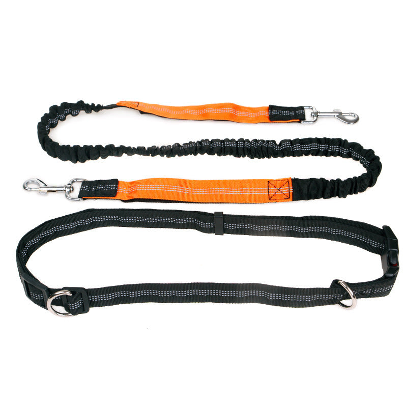 Reflektierendes Hunde-Gstältli für Sport & Freizeit – Bild 2 | LuxeStyle