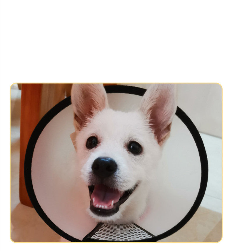 Schutz-Kollektion für Hunde und Katzen – Bild 2 | LuxeStyle