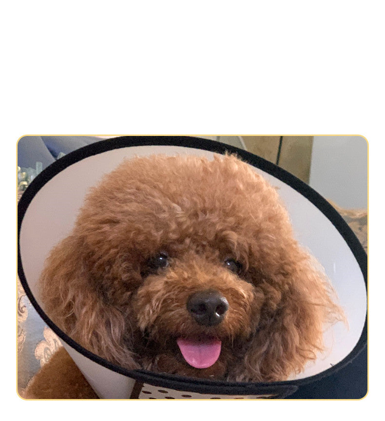 Schutz-Kollektion für Hunde und Katzen – Bild 3 | LuxeStyle