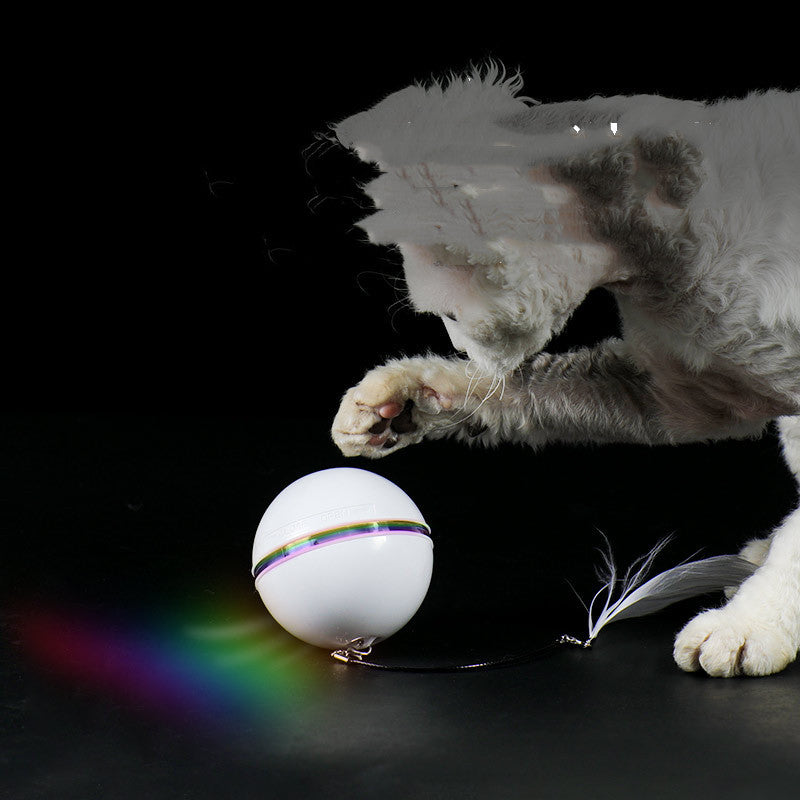 Katzenball – Bild 1 | LuxeStyle