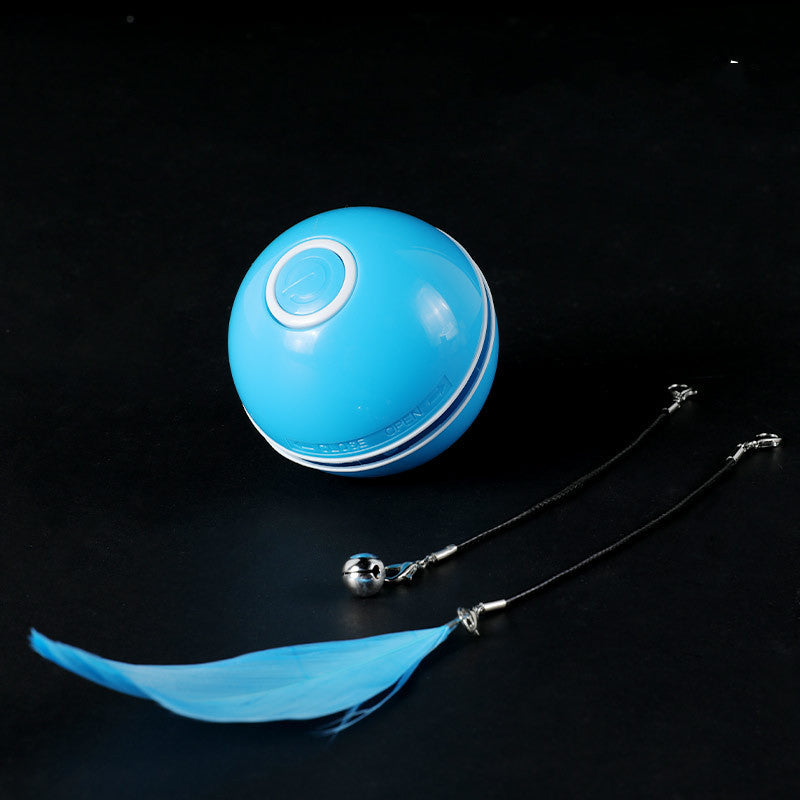 Katzenball – Bild 3 | LuxeStyle