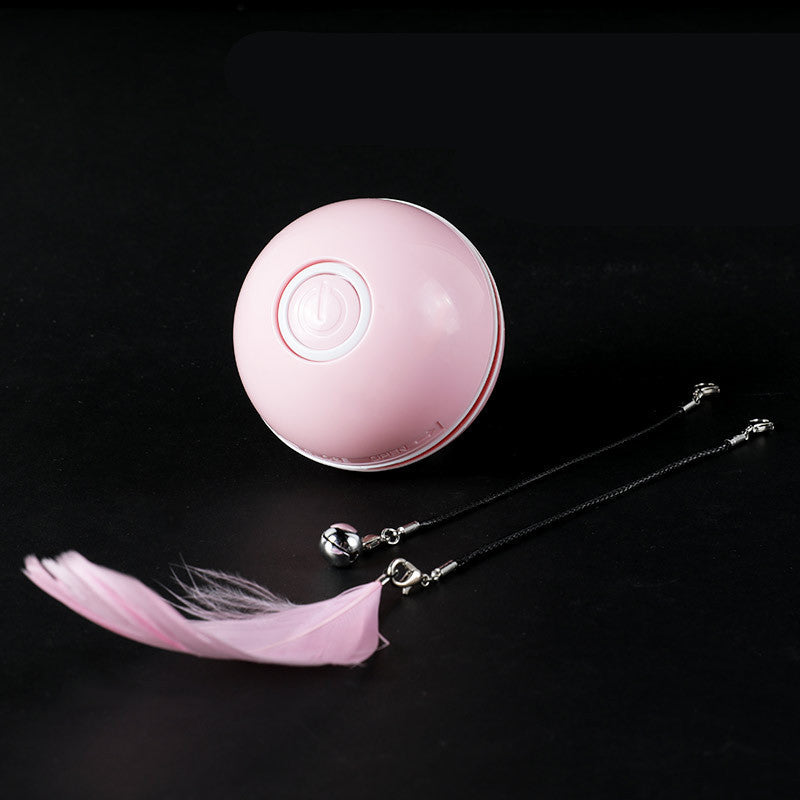 Katzenball – Bild 5 | LuxeStyle