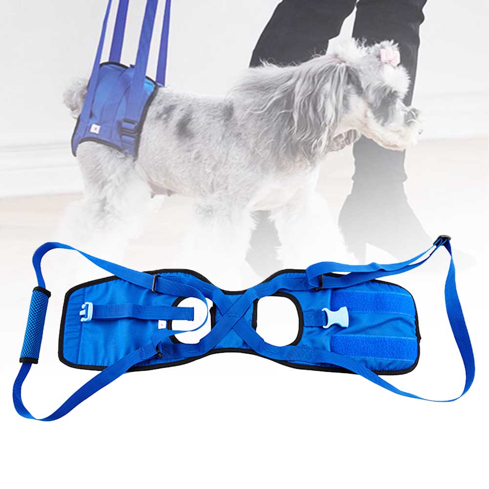 Gehhilfe für Hunde | LuxeStyle