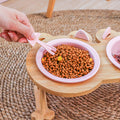 Keramik Futternapf für Haustiere mit Holzgestell | LuxeStyle