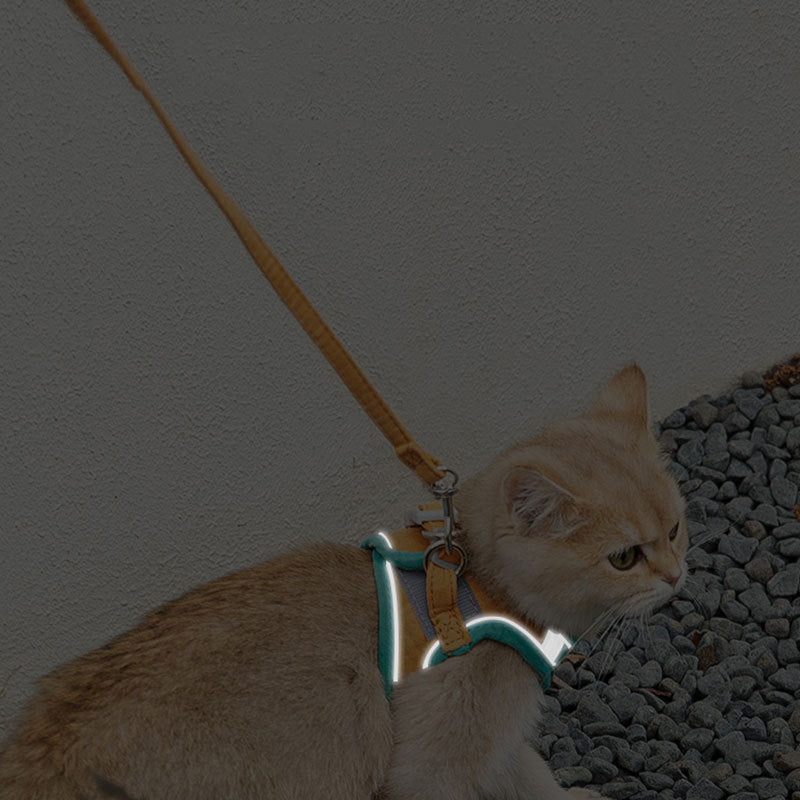Katzengeschirr mit Leine – reissfest & reflektierend – Bild 4 | LuxeStyle