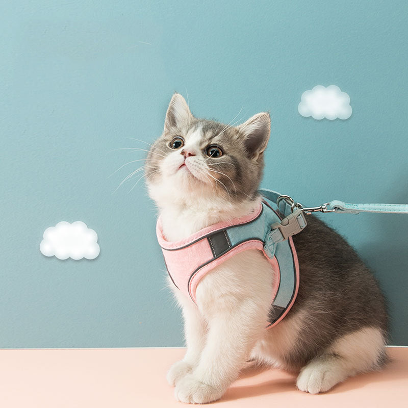 Katzengeschirr mit Leine – reissfest & reflektierend – Bild 5 | LuxeStyle