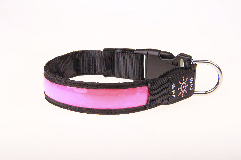 Hellige Halsband für Hunde | LuxeStyle