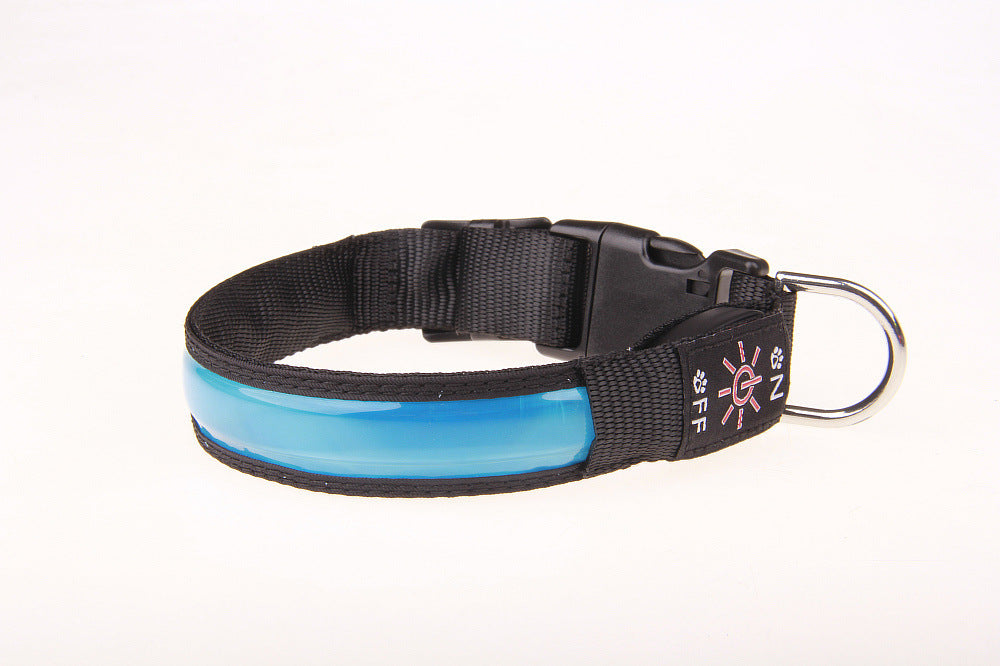 Hellige Halsband für Hunde – Bild 6 | LuxeStyle