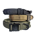Outdoor-Hundetraining-Kollekt – Bild 1 | LuxeStyle