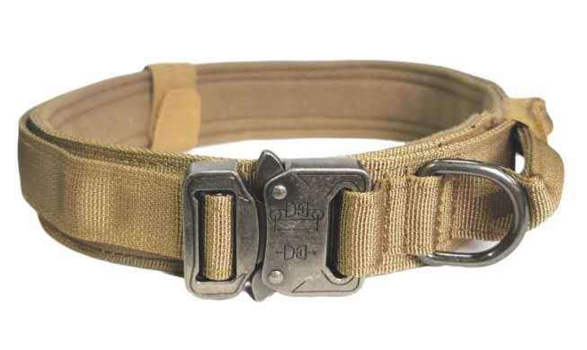 Outdoor-Hundetraining-Kollekt | LuxeStyle