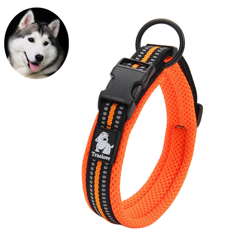 Hundefutter-Identifikations-Halsband – Bild 3 | LuxeStyle