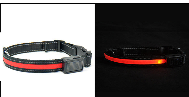 Sonnenschein-Halsband für Hunde – Bild 3 | LuxeStyle