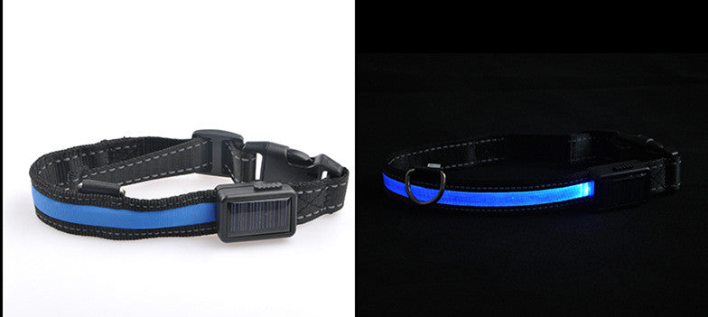 Sonnenschein-Halsband für Hunde – Bild 8 | LuxeStyle