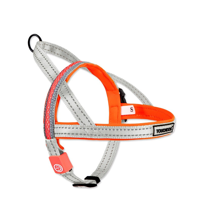 Leucht-Hundeleine mit LED – Bild 11 | LuxeStyle