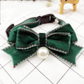 Bändercollar für Katzen und Hunde | LuxeStyle