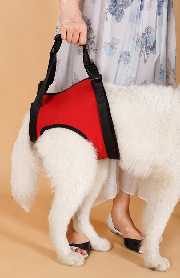Hundegeschirr für Hinter- oder Vorderbeine – Bild 6 | LuxeStyle