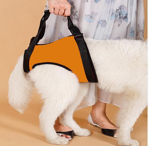 Hundegeschirr für Hinter- oder Vorderbeine – Bild 8 | LuxeStyle