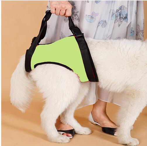 Hundegeschirr für Hinter- oder Vorderbeine – Bild 9 | LuxeStyle