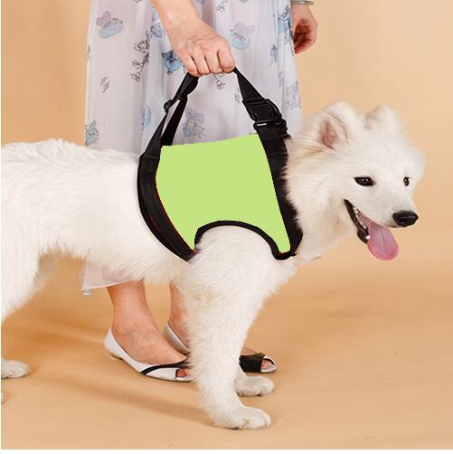 Hundegeschirr für Hinter- oder Vorderbeine – Bild 3 | LuxeStyle