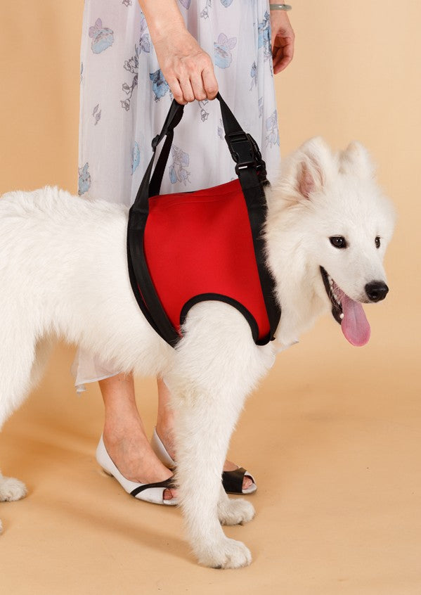 Hundegeschirr für Hinter- oder Vorderbeine – Bild 5 | LuxeStyle