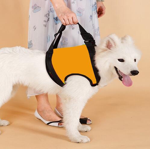 Hundegeschirr für Hinter- oder Vorderbeine – Bild 7 | LuxeStyle