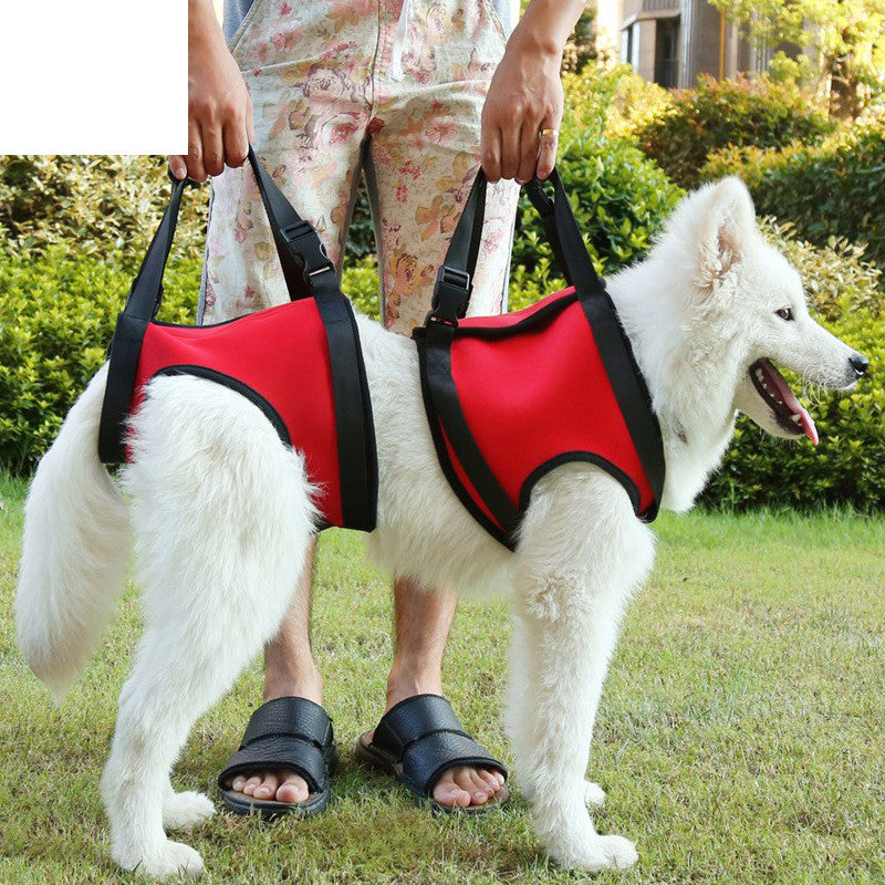 Hundegeschirr für Hinter- oder Vorderbeine – Bild 4 | LuxeStyle