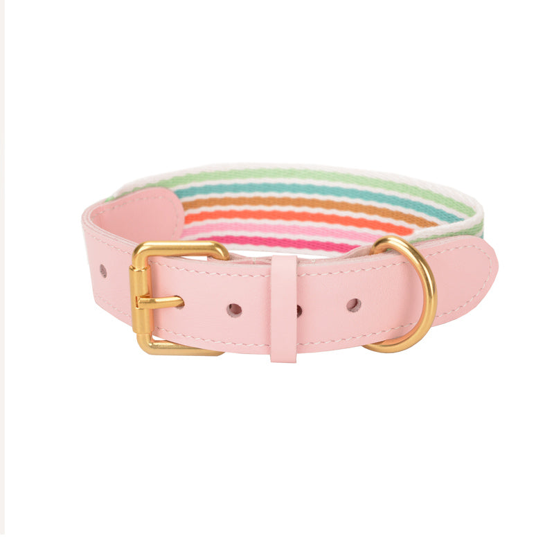 Halsband geflochten für Hunde – Bild 16 | LuxeStyle
