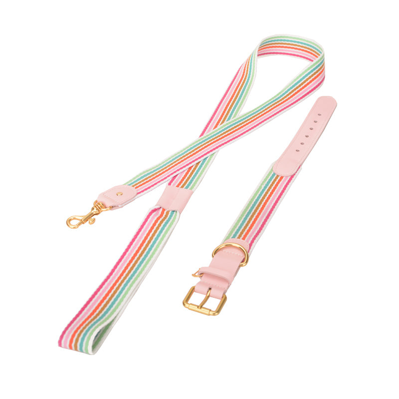 Halsband geflochten für Hunde – Bild 8 | LuxeStyle
