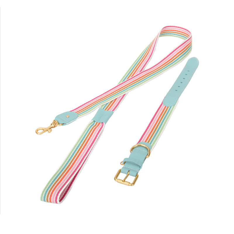 Halsband geflochten für Hunde – Bild 7 | LuxeStyle