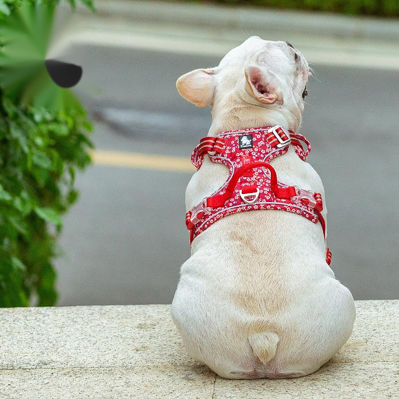 Hundegeschirr mit Blumenmuster – Bild 7 | LuxeStyle