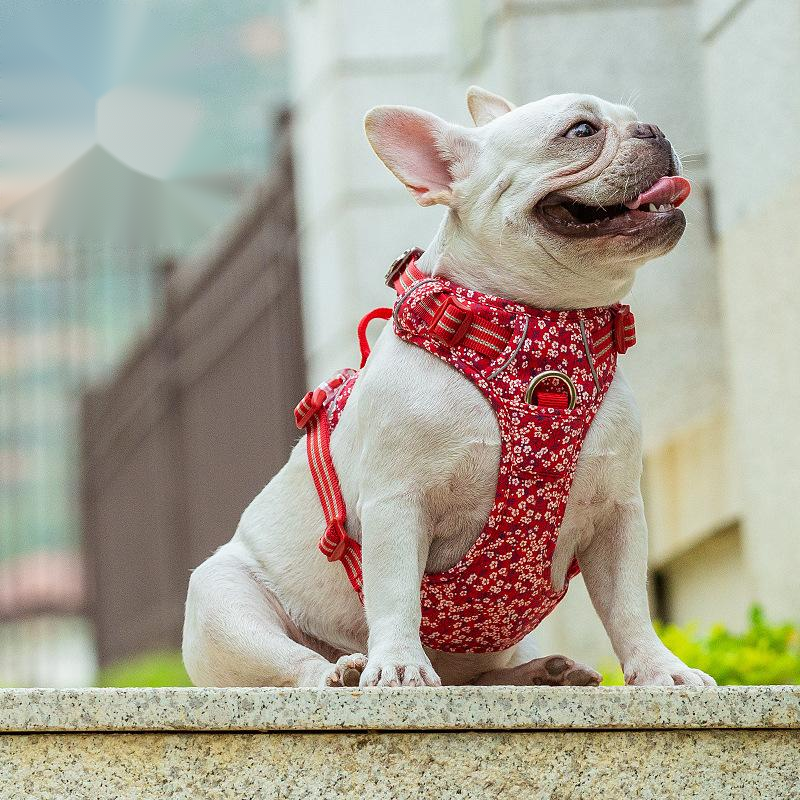 Hundegeschirr mit Blumenmuster – Bild 9 | LuxeStyle