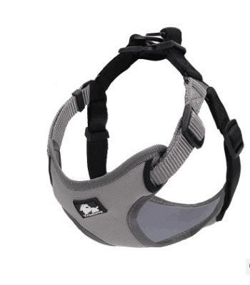 Hundegeschirr mit Leine, reflektierend | LuxeStyle