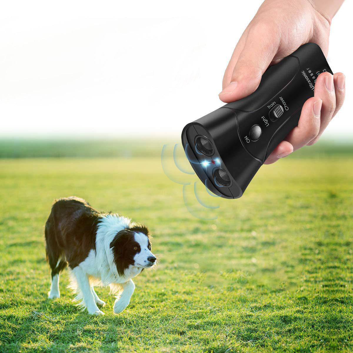 Laser Hundetrainer