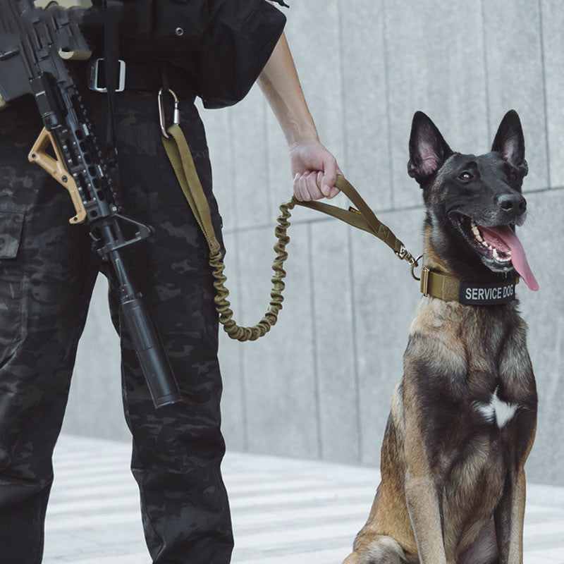 Taktische Hundeleine für grosse Hunde – Bild 6 | LuxeStyle