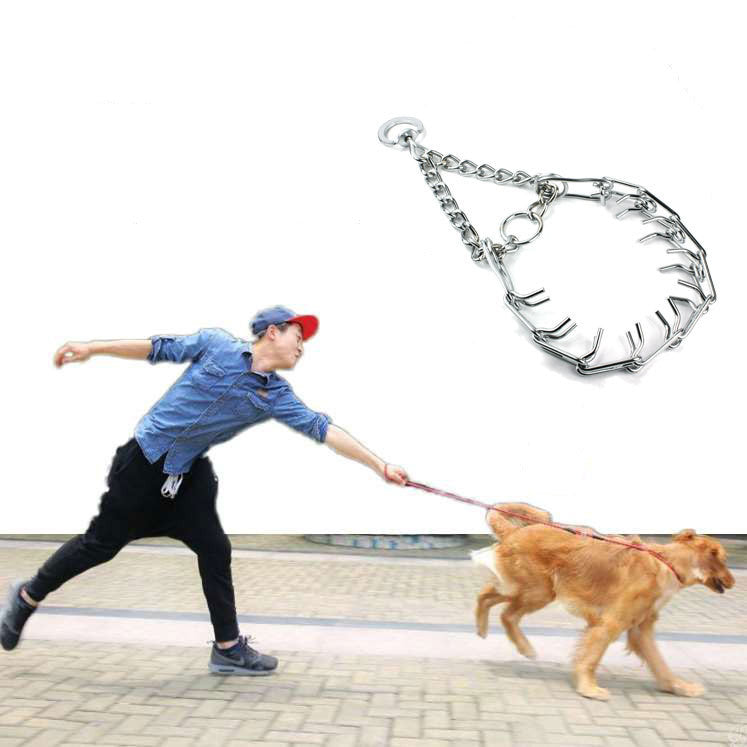 Halsband mit Stimulationskette für Hunde – Bild 2 | LuxeStyle