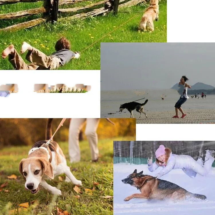 Halsband mit Stimulationskette für Hunde – Bild 3 | LuxeStyle